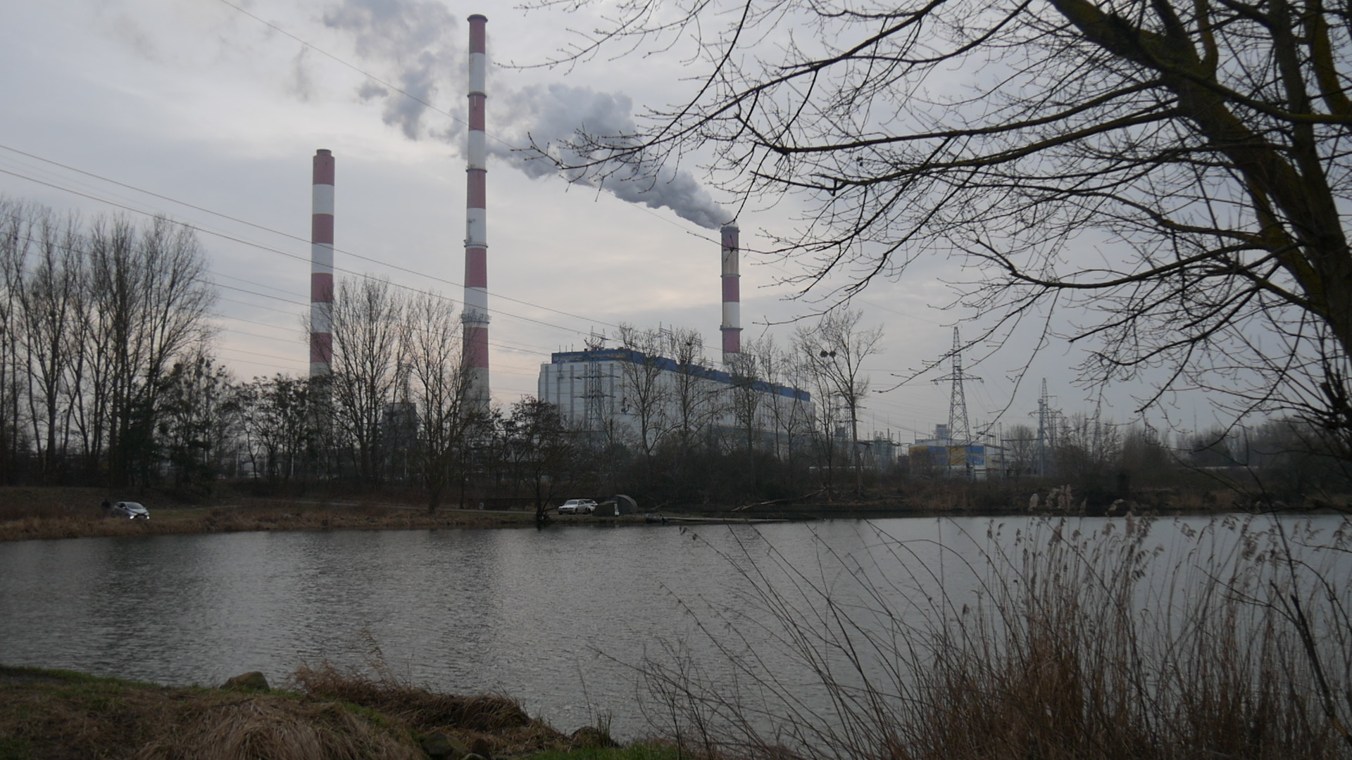Autour du fleuve de l’Oder en Pologne, des poissons meurent et des hommes luttent